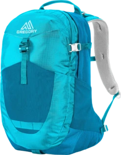 Gregory Sucia 28 -Bag Series Store 1000 13