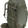 REI Ruckpack 65 Travel Pack