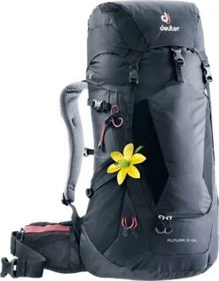 Deuter Futura 24 SL 17 Deuter Futura 24 SL -Bag Series Store 12ed1494147adf79357537ad400dde2a