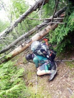 REI Flash 65 -Bag Series Store 13576734 971049649677961 2671086741820215692 o