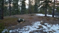 Gregory UM21 Backpack -Bag Series Store 20161127 162932