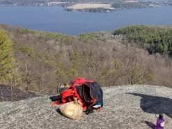 The North Face Cobra 52 -Bag Series Store 20200515 173031