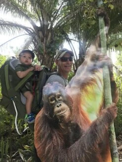 Kelty Journey PerfectFit Elite -Bag Series Store 6FE9AB1E 4466 45D6 9C60 4DAE3D566E72