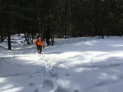 Seek Outside Divide 4500 -Bag Series Store Gates