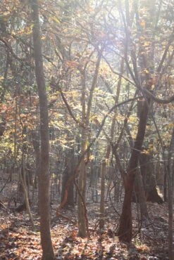 Granite Gear Vapor Current Airbeam Frame -Bag Series Store IMG 1763