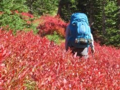 Osprey Aether Plus 85 -Bag Series Store IMG 5785 BB