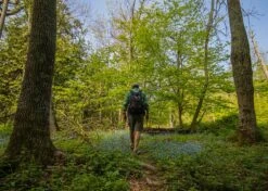 United By Blue 25L Rift Pack -Bag Series Store IMG 9822