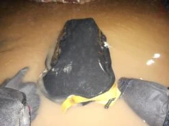 Swaygo Push Pack -Bag Series Store Swaygo Push 7