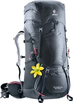 Deuter Aircontact Lite 60+10 SL -Bag Series Store accd3be083d8b8cb3045ce848bd0de4d