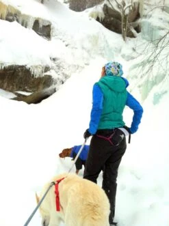 Salomon Active Insulated Belt -Bag Series Store day trip