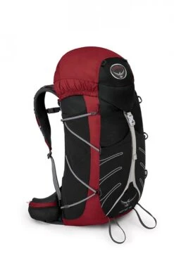 Osprey Hornet 46