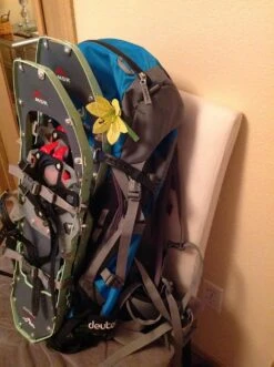 Deuter Guide Tour 35+ SL -Bag Series Store image 543