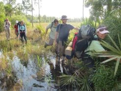 Deuter Aircomfort Futura 60+10 SL -Bag Series Store through the swamp