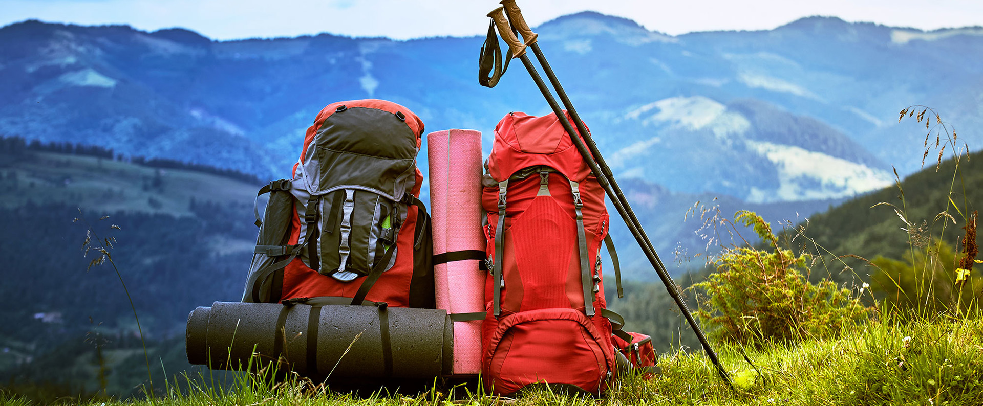 Bag Series Store 1 Bag Series Store -Bag Series Store 1